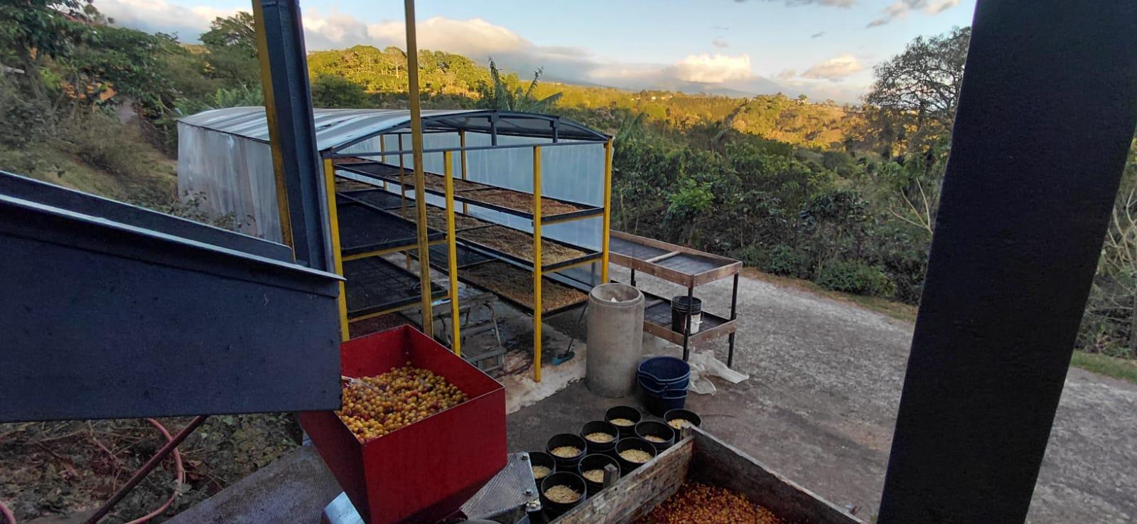 Café Caracol (4 de 6)